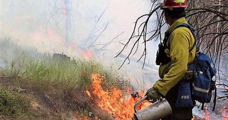prescribed fire, firefighter