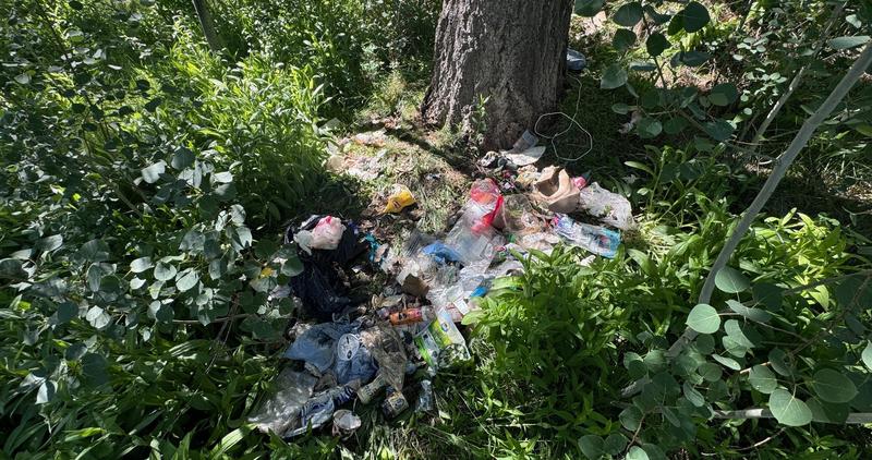 Large amount of residential garbage after a black bear finds an unsecured garbage cart