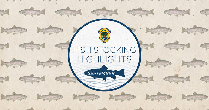 september 2023 stocking highlights