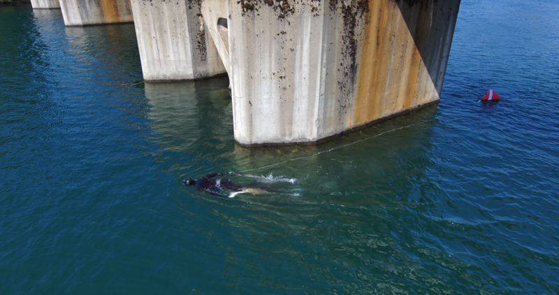 Spearfishing for walleye on Lake Pend Oreille