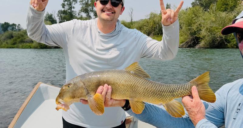 Utah Sucker - record catch