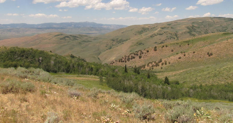 Montpelier WMA - above mine looking toward Montpelier. 