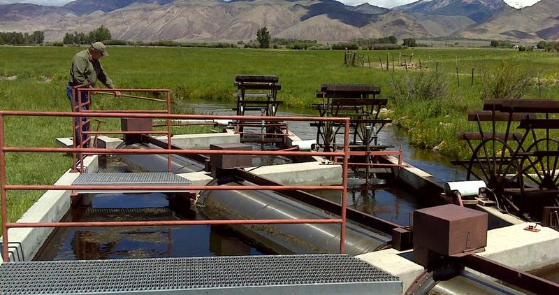 Screen tender, Gary Funk, maintains a fish screen in the Pahsimeroi Valley