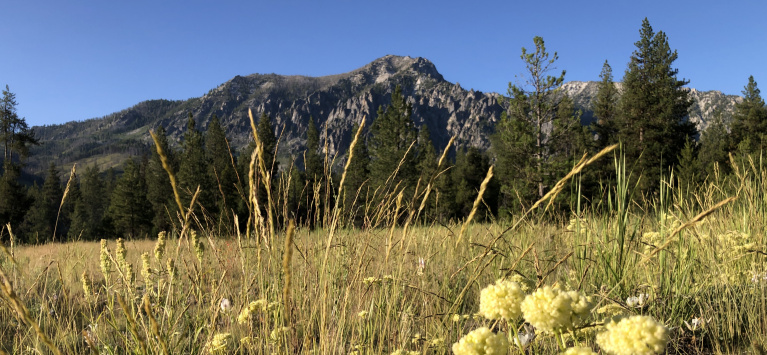 Cover photo