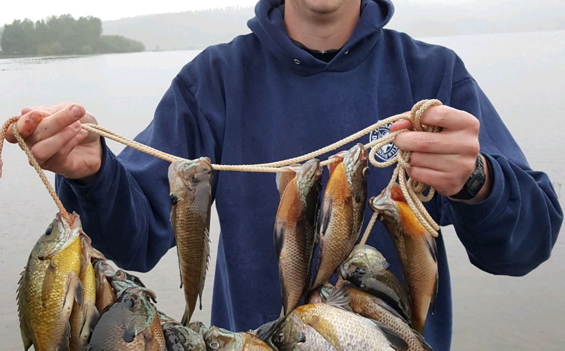 Panhandle Panfish A fun and easy way to enjoy fishing in 