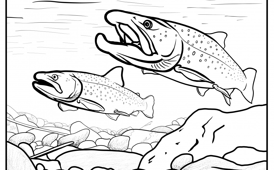 Bull trout coloring contest | Idaho Fish and Game