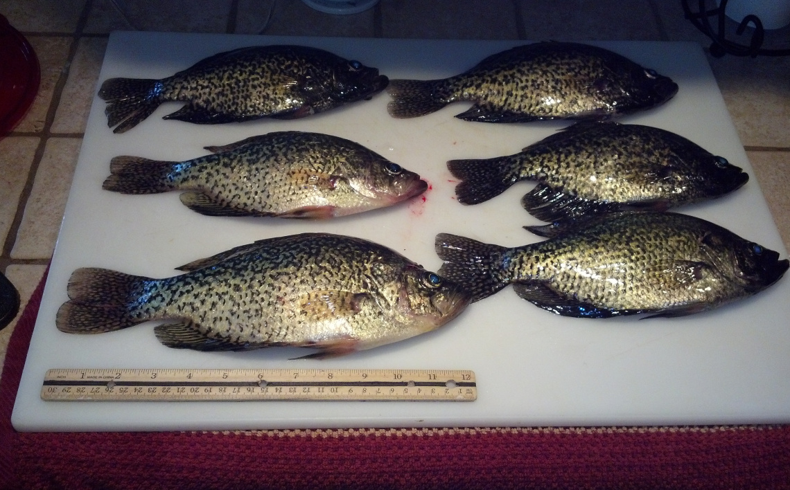 Panhandle Panfish A fun and easy way to enjoy fishing in North Idaho