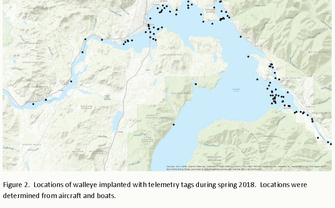 Lake Pend Oreille Walleye Map Lake Pend Oreille Walleye Update | Idaho Fish And Game