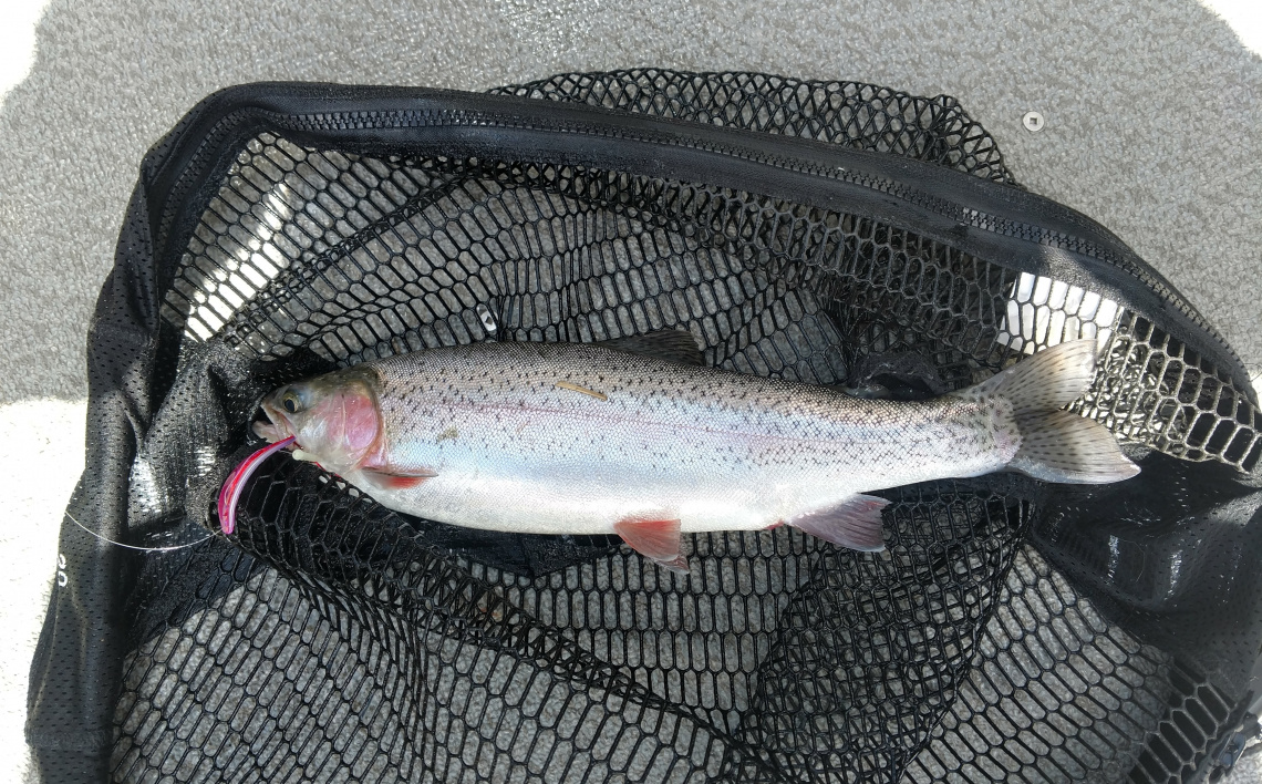 Anglers are Reminded of Special Fishing Regulations on the Snake River