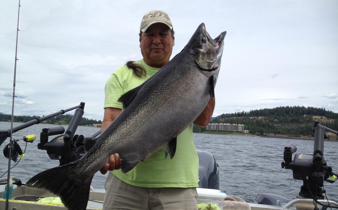 Three years after stocking, Chinook in Spirit Lake are