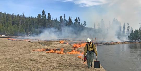 Prescribed burn- Red River