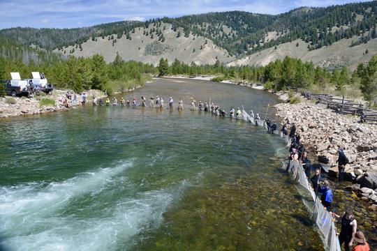 Sawtooth Chinook Roundup 2019-6.jpeg