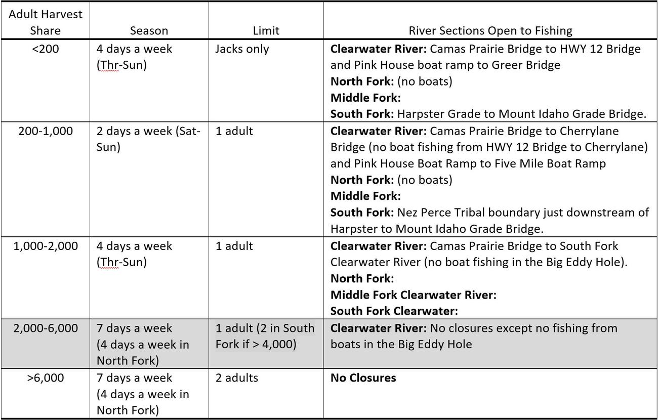 Spring Chinook Salmon Fishing Update 4/20/2023 Rapid River Run, Hells