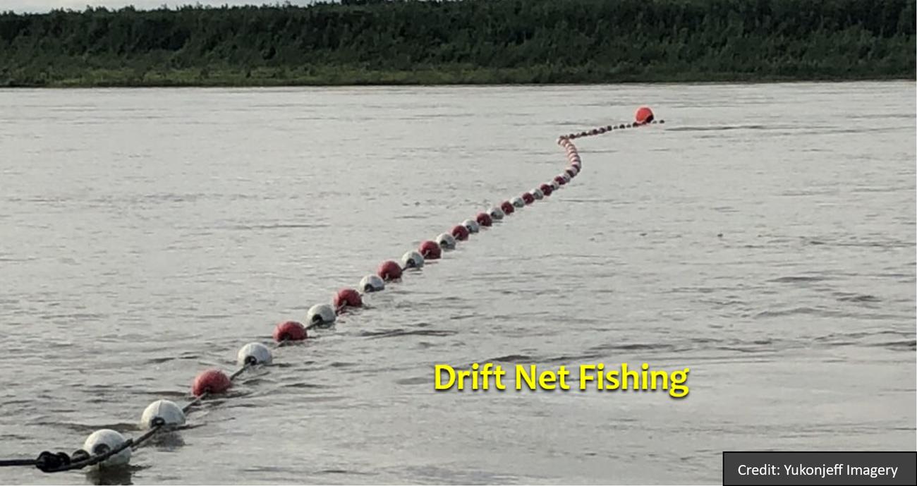 Sport and tribal anglers must learn to fish together; avoiding