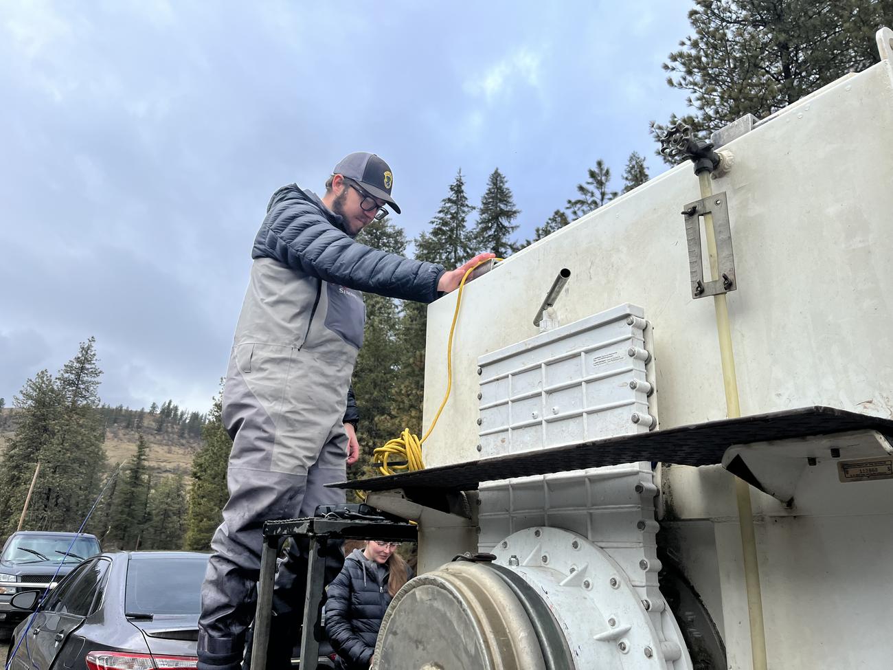 Another Year Of South Fork Steelhead Broodstock Collection Success ...