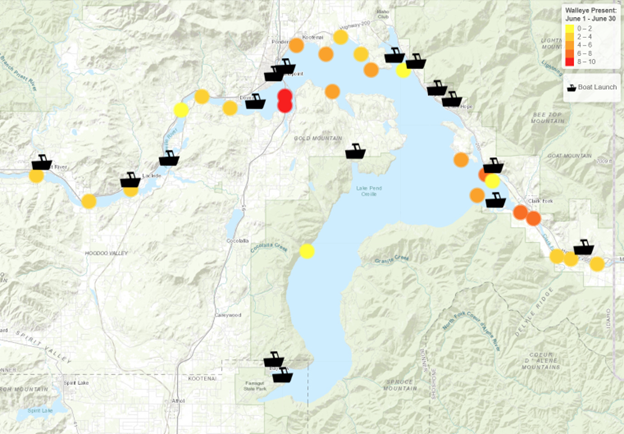 Looking for walleye in Lake Pend Oreille? We've got you covered | Idaho ...