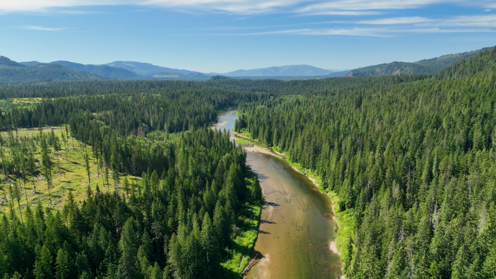 Priest River Coldwater Bypass Concept Science and Research Idaho Fish