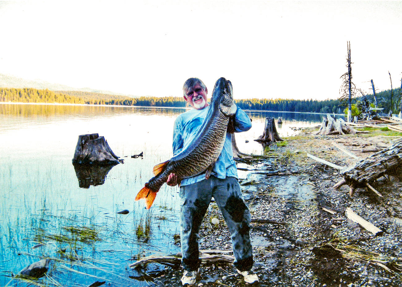 Raising tigers How F&G uses tiger muskies in sport fish management