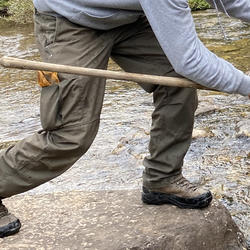 Fish in a net are emptied into a shallow stream