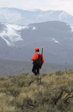 man hunting wearing hunter orange in sage brush