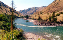 Salmon River