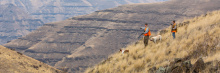 Upland bird hunting father and son / IDFG - Photo by Glenn Oakley