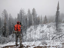 big game hunter dressed in hunter orange using a range finder on a snow coverd mountain ridge Ben Studer medium shot November 2016