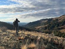 big_game_hunter_glassing_on_a_hillside_in_late_fall_1729_cropped