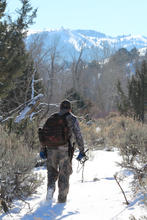 trapper walking with traps in snow vertical medium shot January 2015