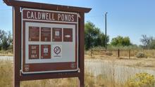 Caldwell Ponds Fishing Access informational sign and road medium shot September 2016