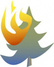 Fire Icon