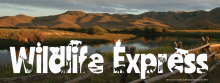 wildlife-express-seasonal-banner