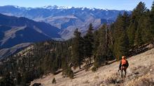 Chip Corsi hunting elk  mountains, trees, snow wide shot