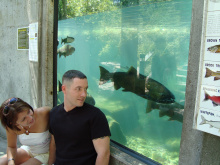 couple watching the fish at the MK Nature Center viewing window August 2009