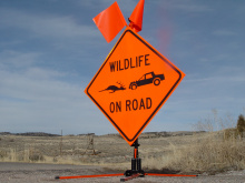 wildlife on road warning sign February 2007