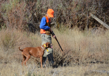 Upland hunting, Montour Wildlife Management Area, southwest Idaho