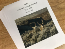 Mule Deer Plan 2019