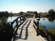 Original ADA Fishing Pier on Oster Lake #1