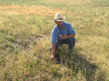 Andrew Mackey inspecting new growth.