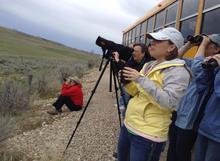 wildlife viewing, raptors