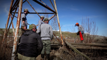 chainsaw_training