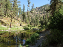 South Fork Salmon River, chinook salmon, litter, volunteers