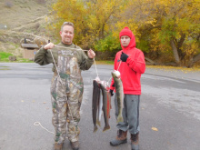 Stringer of steelhead caught fishing on the Clearwater in 2016