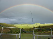 Waiting for a Chinook Salmon to Hit the Line