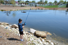 Stirling Pond April 2019