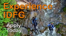 Experience IDFG