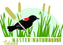 idaho_master_naturalist_logo_small