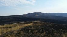 Tex Creek WMA, Henry's Creek Fire Idaho Falls road facing NE