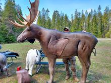 3-D archery moose target at the Farragut Shooting Range Center