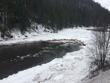 Ice jam on the Clearwater River